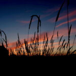 Parin-Haus13-Sonnenuntergang
